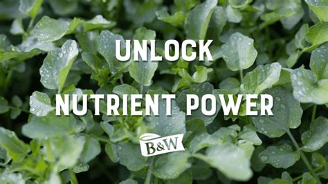 nutrient power