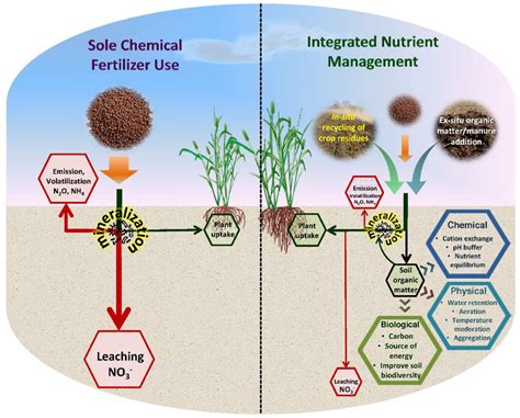 Nutrient Use Efficiency Science To Field Practice Plant Efficiency Science - Efficiency Science