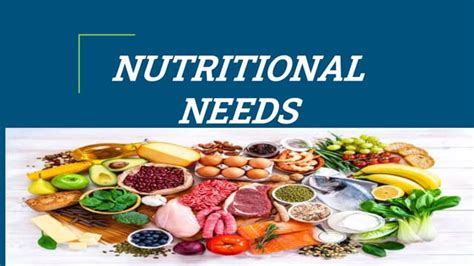 Nutritional Needs In Cold And High Altitude Environments Applications For Military Personnel In Field Operations