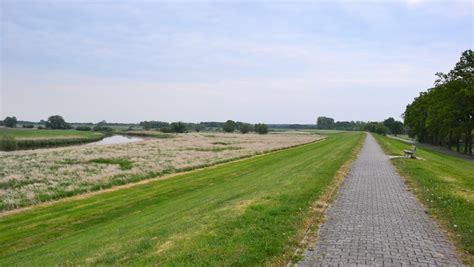 nutten in dannenberg (elbe)