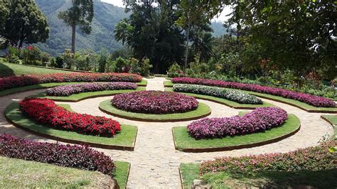 Nuwara Eliya Sri Lanka Flower Garden