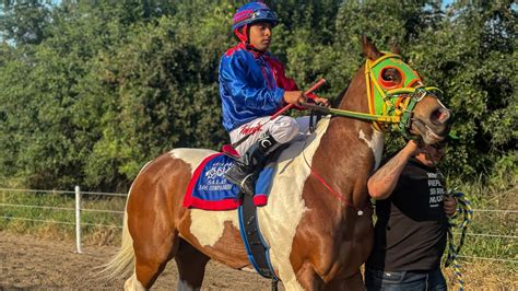 blackjack online: Apostando nas Melhores Apostas Desportivas Online com a Garantia de Segurança dos Fundos - Foto 2