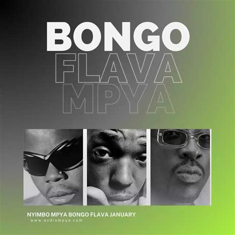 nyimbo mpya za bongo flava 2013