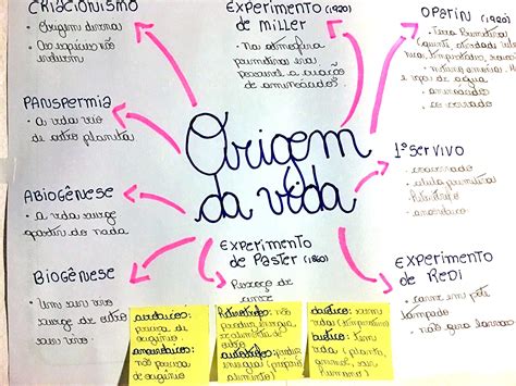 O Preço Da Vida