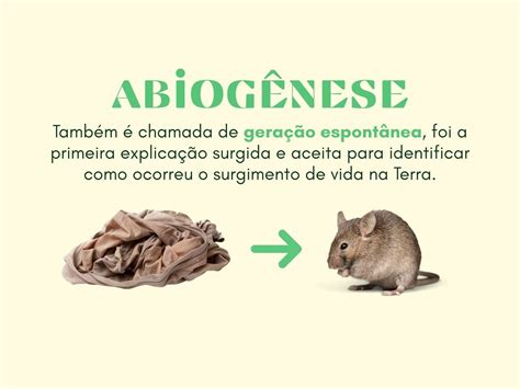 O Que é Abiogênese