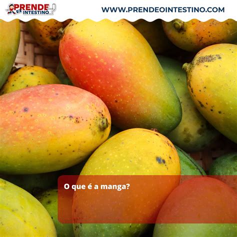 O Que E Manga