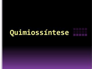 O Que é Quimiossíntese
