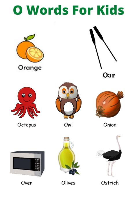 O Words For Kids Words That Start With Objects That Start With O - Objects That Start With O