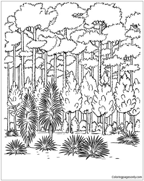 Oak Tree In The Forest Coloring Page Free Oak Tree Coloring Pages - Oak Tree Coloring Pages