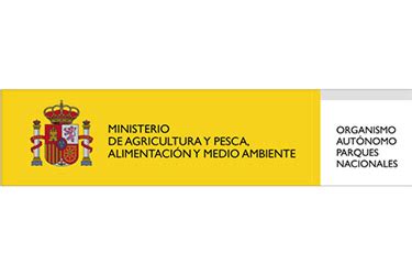 5 bet: Apostas Desportivas Online com Garantia de Segurança Financeira para Todos os Jogadores - Foto 2