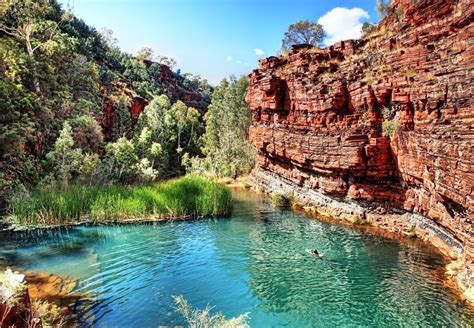 oasis active australia tours