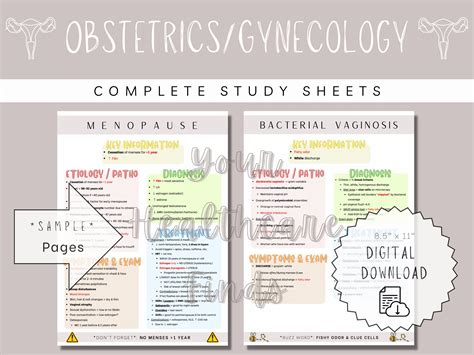 Read Online Ob Gyn Study Guide 