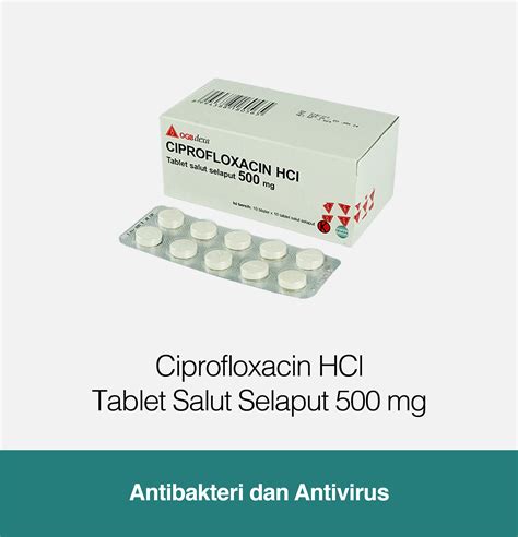 obat ciprofloxacin