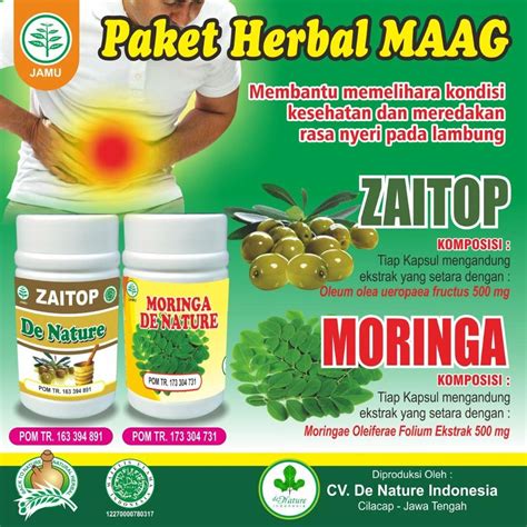 obat herbal asam lambung paling ampuh