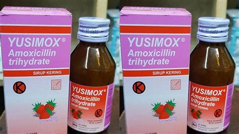 obat yusimox amoxicillin trihydrate untuk apa