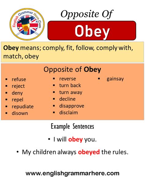 Obey Antonym