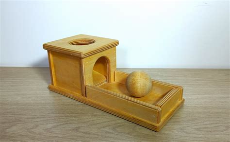 objectpermanentie experiment