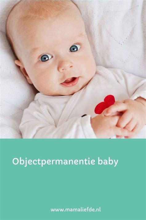 objectpermanentie leeftijd