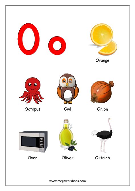  Objects Starting With Letter O - Objects Starting With Letter O