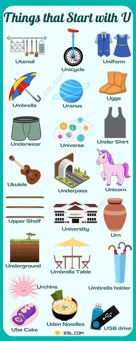 Objects Starting With U   Nouns That Start With U English Vocabulary Your - Objects Starting With U
