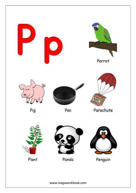 Objects That Start With P Vocabulary Point Objects That Start With P - Objects That Start With P