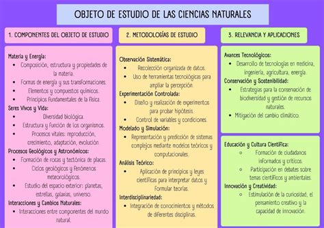 Objeto De Estudio De Las Ciencias Sociales
