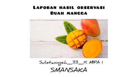 observasi buah mangga