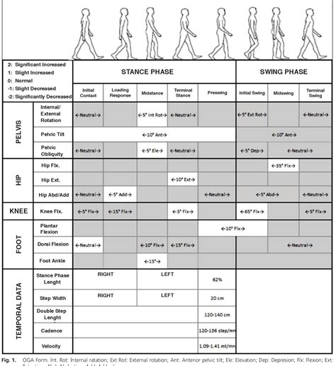 Observational Gait Analysis