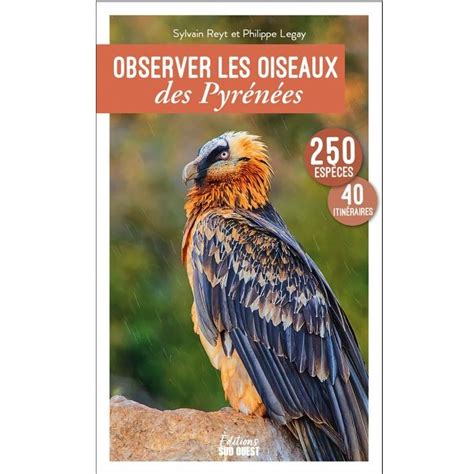 Observer Les Oiseaux Des Pyra C Na C Es