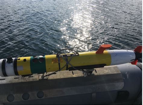 Full Download Obstacle Avoidance Control For The Remus Autonomous Underwater Vehicle 