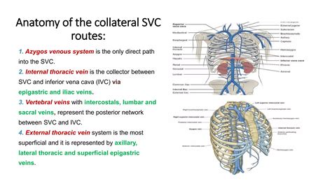 Obstruction Of Svc