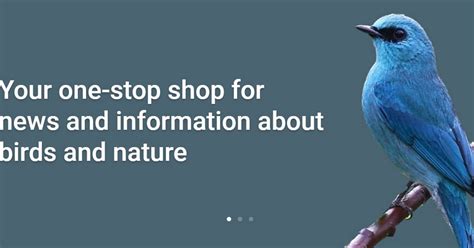 nature photo by Brooklyn Williamson