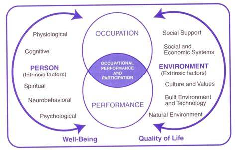 occupational therapy performance participation an