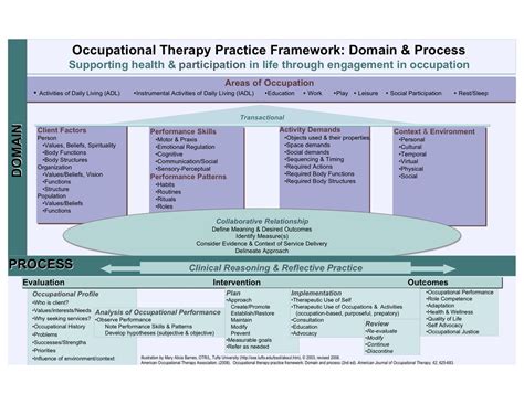 Occupational Therapy Process