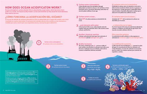 Ocean Acidification Smithsonian Ocean