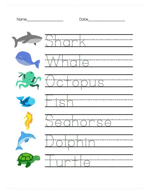 Ocean Animal Math And Writing Worksheets For Prek Ocean Math Worksheet - Ocean Math Worksheet
