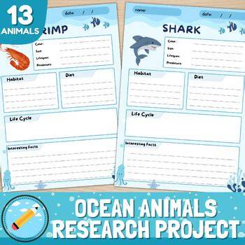 ocean animal research project