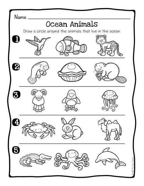 Ocean Animals Science Worksheet Kindergarten   Ocean Animal Printable Preschool Worksheets Simple Everyday Mom - Ocean Animals Science Worksheet Kindergarten