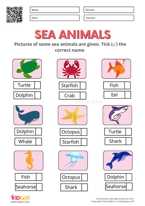 Ocean Animals Worksheets All Kids Network Kindergarten Sea Animal Worksheet  - Kindergarten Sea Animal Worksheet`