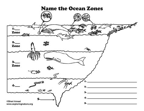 Ocean Animals Worksheets Label The Oceans Worksheet - Label The Oceans Worksheet