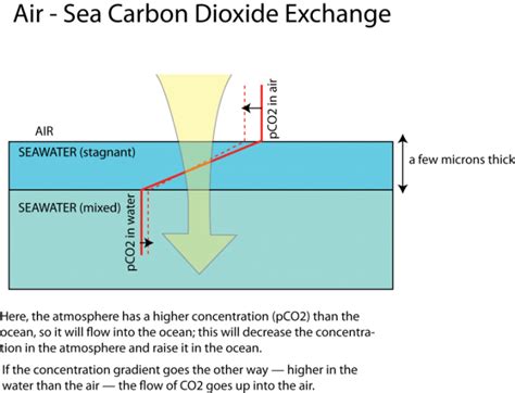 Ocean Atmosphere Co2 Exchange