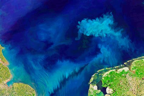 ocean color