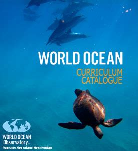 Ocean Curriculum Catalogue World Ocean Observatory Ocean Lesson Plans 3rd Grade - Ocean Lesson Plans 3rd Grade