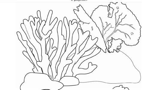 Ocean Floor Coloring Page At Getcolorings Com Free Ocean Floor Coloring Page - Ocean Floor Coloring Page