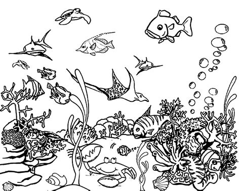 Ocean Floor Coloring Page   Marine Life Under The Ocean Floor 1 Coloring - Ocean Floor Coloring Page