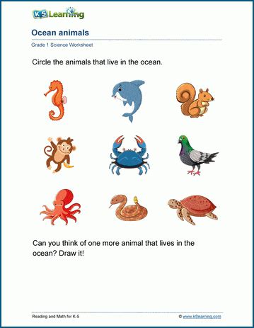 Ocean Forest And Other Habitats K5 Learning Worksheet Oceans 1st Grade - Worksheet Oceans 1st Grade