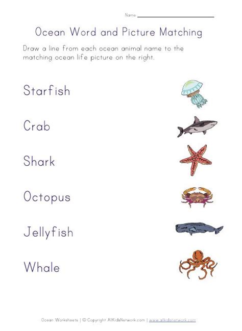 Ocean Life Matching Worksheet All Kids Network Ocean Life Worksheet - Ocean Life Worksheet