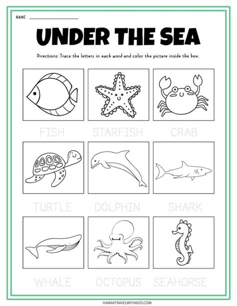 Ocean Life Worksheet   Ocean Life Worksheet For Kids All Kids Network - Ocean Life Worksheet