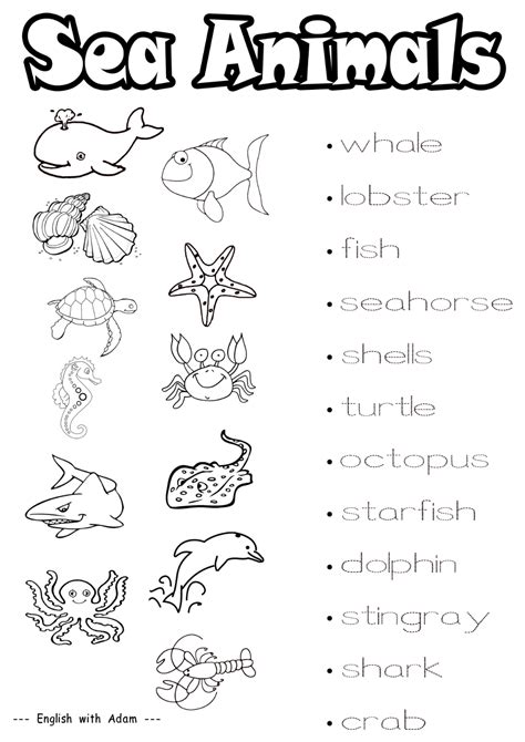 Ocean Life Worksheets Learny Kids Ocean Life Worksheet - Ocean Life Worksheet
