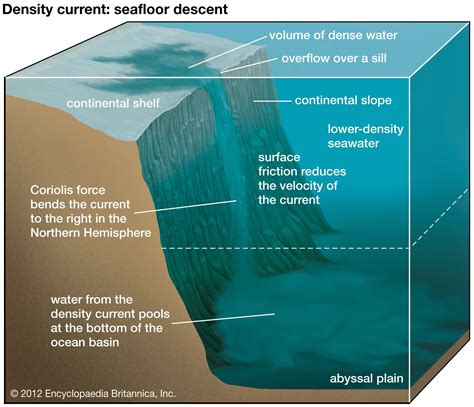 Ocean Salinity Amp Density Currents Class Copy Studylib Ocean Salinity Worksheet - Ocean Salinity Worksheet